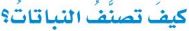 كيف تصنف النباتات
